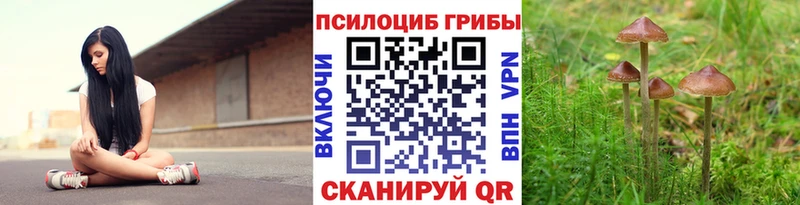 кракен Новошахтинск Галлюциногенные грибы мицелий